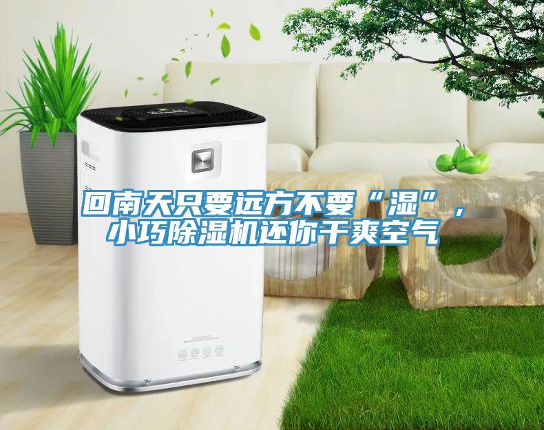 回南天只要遠(yuǎn)方不要“濕”，小巧除濕機(jī)還你干爽空氣