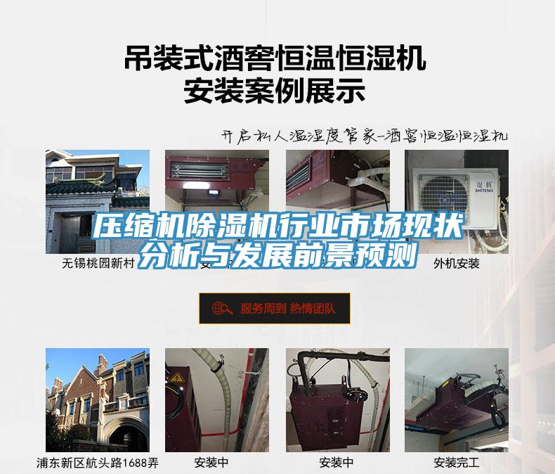 壓縮機(jī)除濕機(jī)行業(yè)市場現(xiàn)狀分析與發(fā)展前景預(yù)測