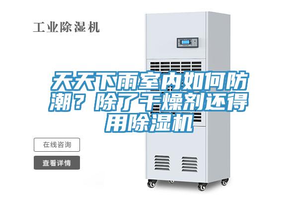 天天下雨室內(nèi)如何防潮？除了干燥劑還得用除濕機(jī)