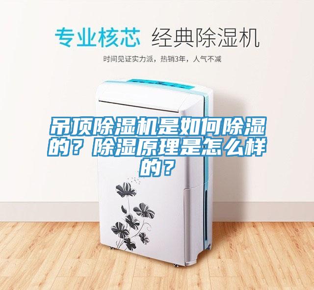 吊頂除濕機(jī)是如何除濕的？除濕原理是怎么樣的？