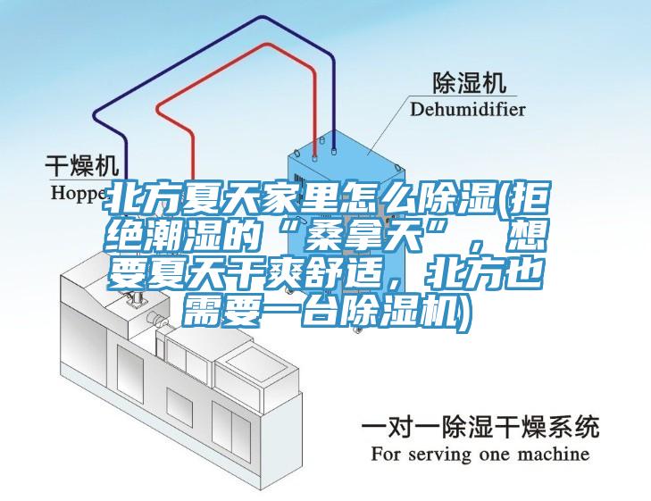 北方夏天家里怎么除濕(拒絕潮濕的“桑拿天”，想要夏天干爽舒適，北方也需要一臺(tái)除濕機(jī))