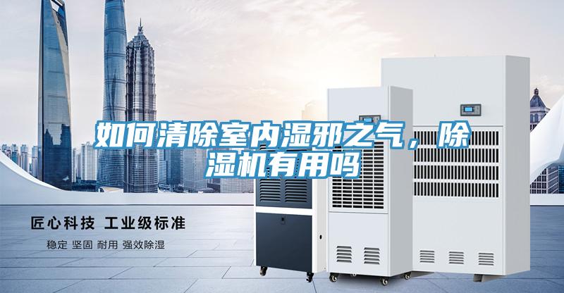 如何清除室內(nèi)濕邪之氣，除濕機(jī)有用嗎