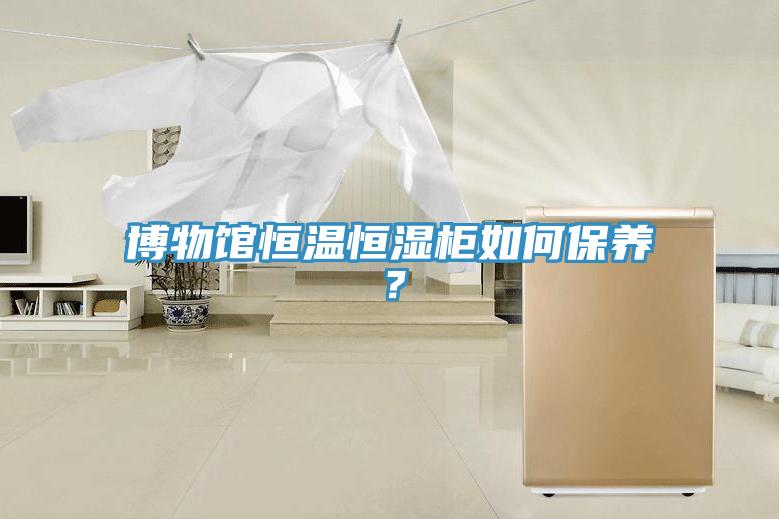 博物館恒溫恒濕柜如何保養(yǎng)？