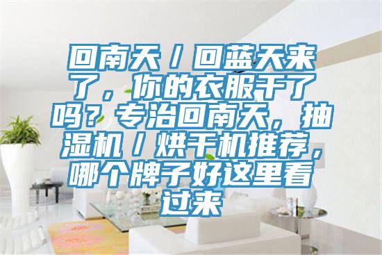 回南天／回藍天來了，你的衣服干了嗎？專治回南天，抽濕機／烘干機推薦，哪個牌子好這里看過來