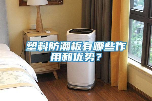 塑料防潮板有哪些作用和優(yōu)勢(shì)？