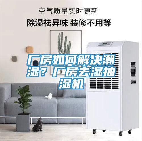 廠(chǎng)房如何解決潮濕？廠(chǎng)房去濕抽濕機(jī)