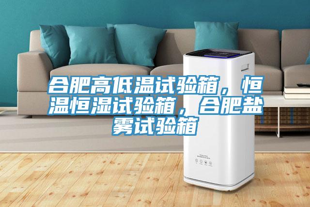 合肥高低溫試驗(yàn)箱，恒溫恒濕試驗(yàn)箱，合肥鹽霧試驗(yàn)箱