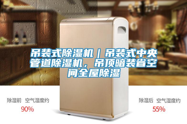 吊裝式除濕機(jī)｜吊裝式中央管道除濕機(jī)，吊頂暗裝省空間全屋除濕