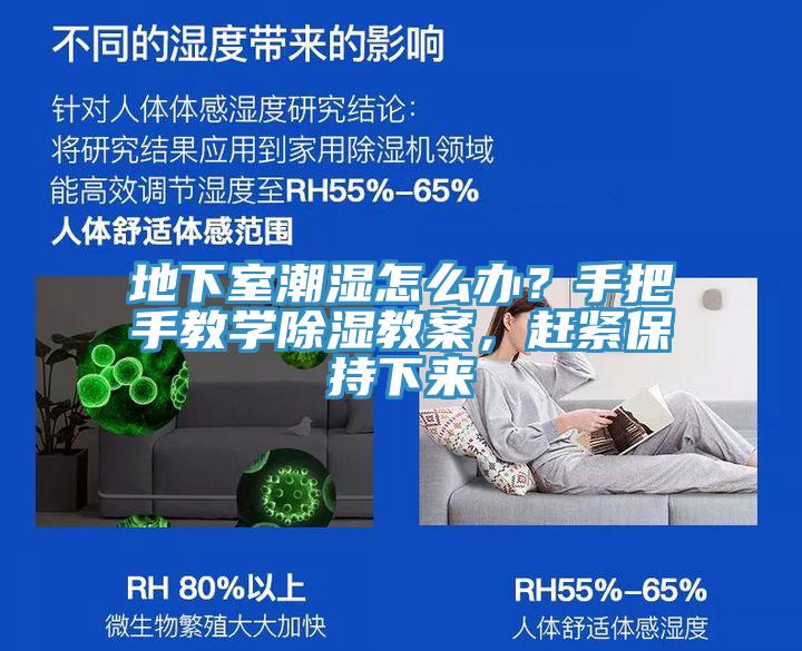 地下室潮濕怎么辦？手把手教學除濕教案，趕緊保持下來