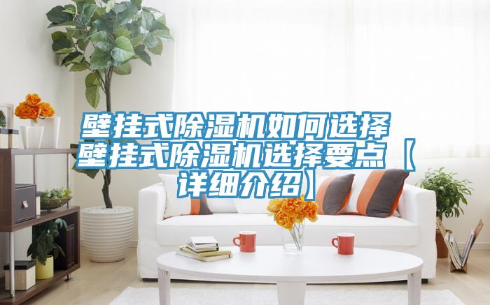 壁掛式除濕機(jī)如何選擇 壁掛式除濕機(jī)選擇要點【詳細(xì)介紹】