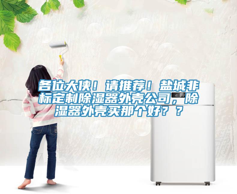 各位大俠！請(qǐng)推薦！鹽城非標(biāo)定制除濕器外殼公司，除濕器外殼買那個(gè)好？？