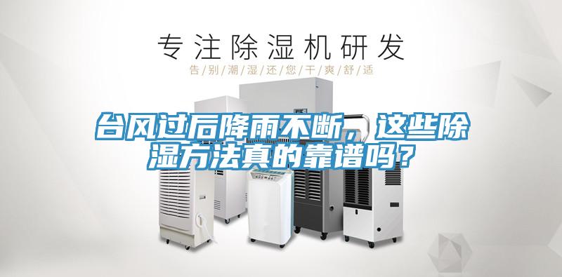臺風過后降雨不斷，這些除濕方法真的靠譜嗎？