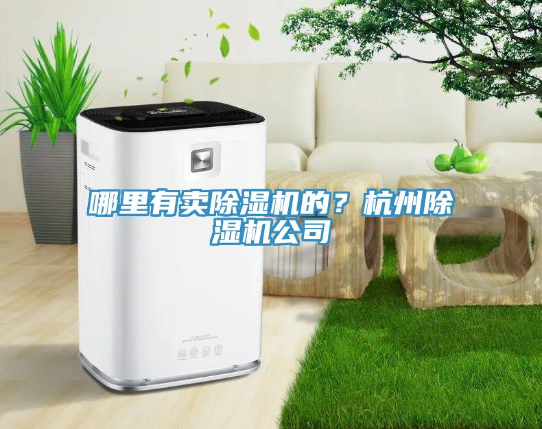 哪里有賣除濕機(jī)的？杭州除濕機(jī)公司