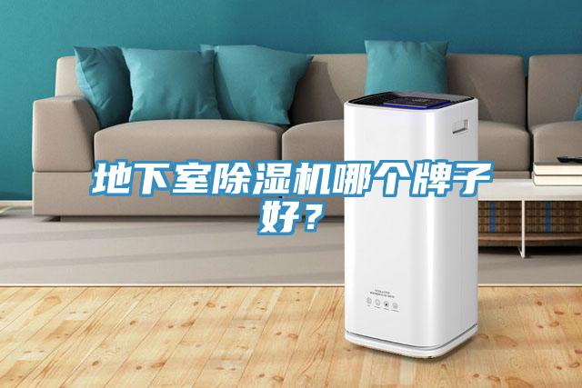 地下室除濕機(jī)哪個牌子好？