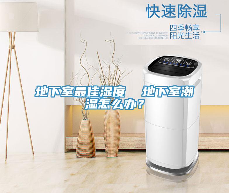 地下室最佳濕度  地下室潮濕怎么辦？