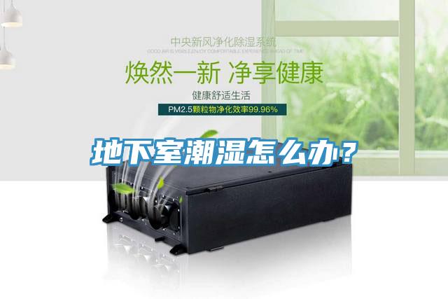 地下室潮濕怎么辦？