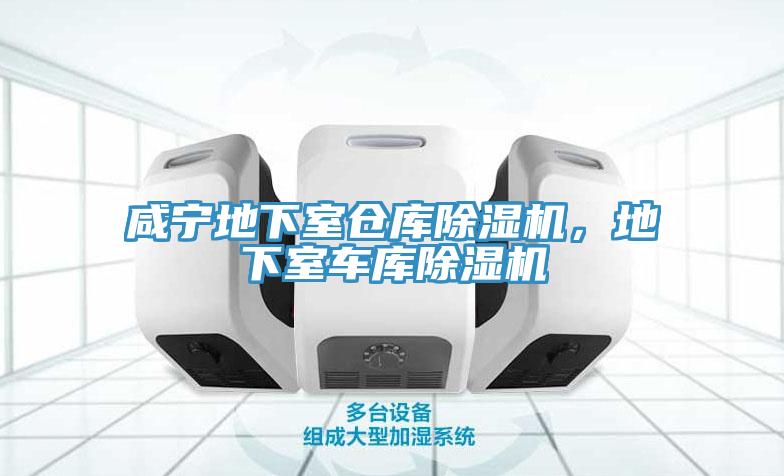 咸寧地下室倉庫除濕機(jī)，地下室車庫除濕機(jī)