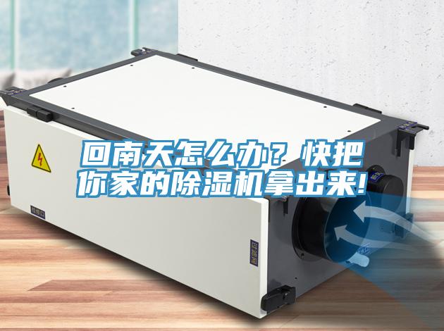 回南天怎么辦？快把你家的除濕機拿出來!