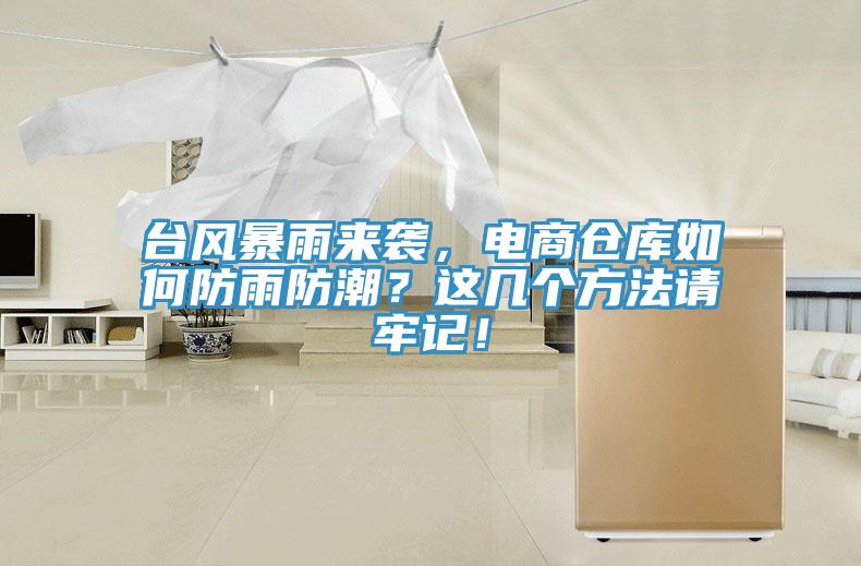 臺(tái)風(fēng)暴雨來(lái)襲，電商倉(cāng)庫(kù)如何防雨防潮？這幾個(gè)方法請(qǐng)牢記！