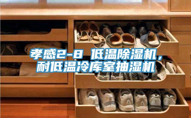 孝感2-8℃低溫除濕機，耐低溫冷庫室抽濕機