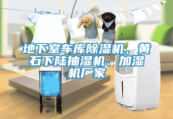 地下室車庫除濕機，黃石下陸抽濕機、加濕機廠家