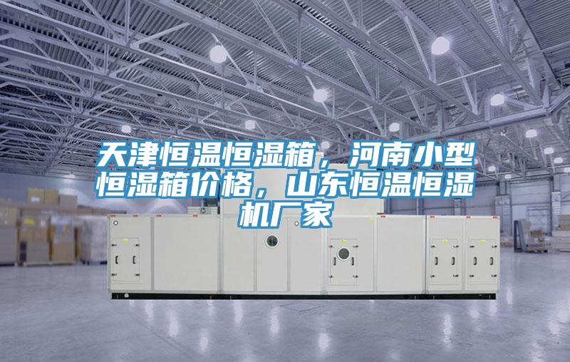 天津恒溫恒濕箱，河南小型恒濕箱價格，山東恒溫恒濕機廠家