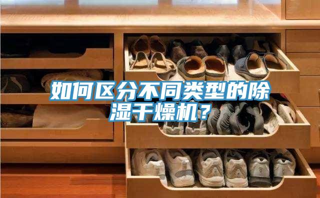 如何區(qū)分不同類型的除濕干燥機？