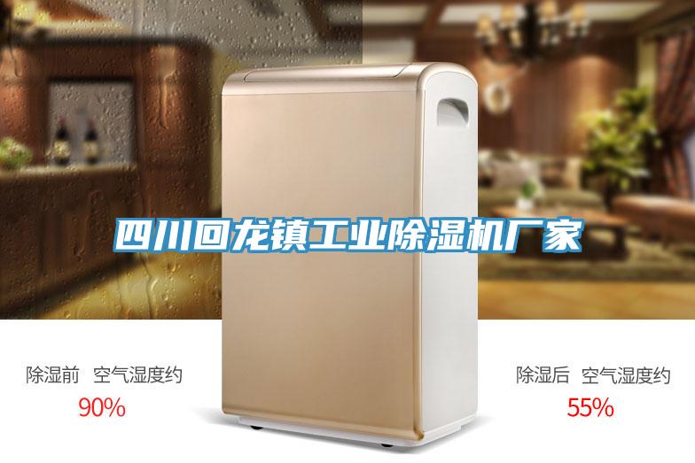 四川回龍鎮(zhèn)工業(yè)除濕機(jī)廠(chǎng)家