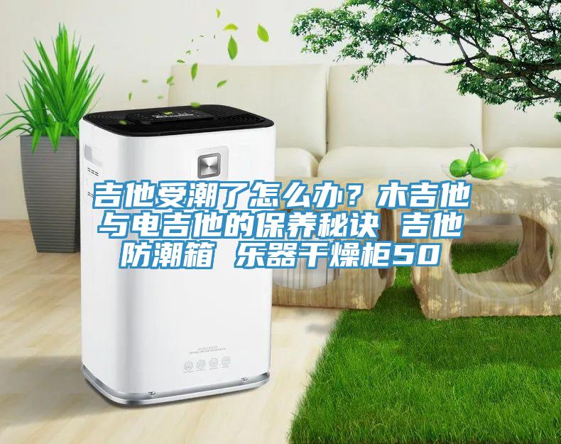 吉他受潮了怎么辦？木吉他與電吉他的保養(yǎng)秘訣 吉他防潮箱 樂(lè)器干燥柜50