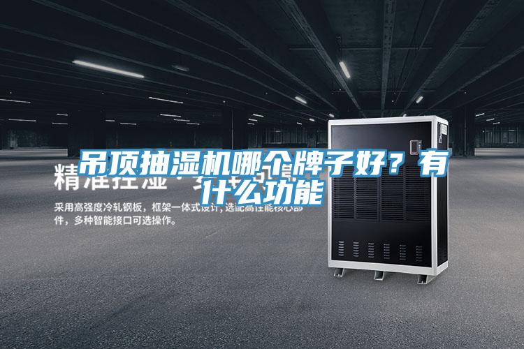 吊頂抽濕機(jī)哪個(gè)牌子好？有什么功能