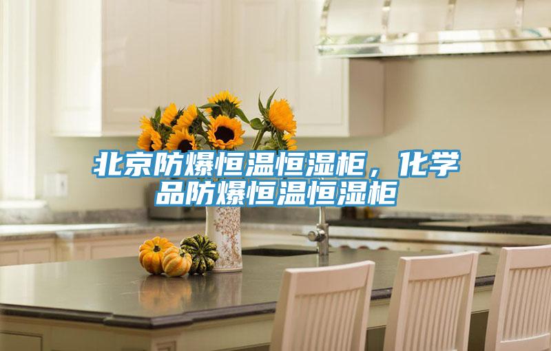 北京防爆恒溫恒濕柜，化學品防爆恒溫恒濕柜