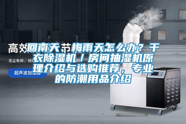 回南天、梅雨天怎么辦？干衣除濕機(jī)／房間抽濕機(jī)原理介紹與選購?fù)扑]，專業(yè)的防潮用品介紹