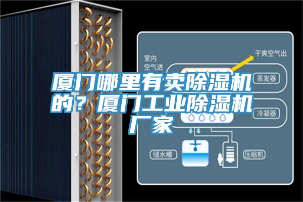 廈門哪里有賣除濕機(jī)的？廈門工業(yè)除濕機(jī)廠家