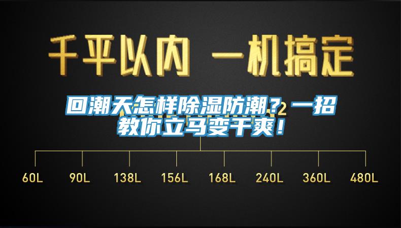 回潮天怎樣除濕防潮？一招教你立馬變干爽！