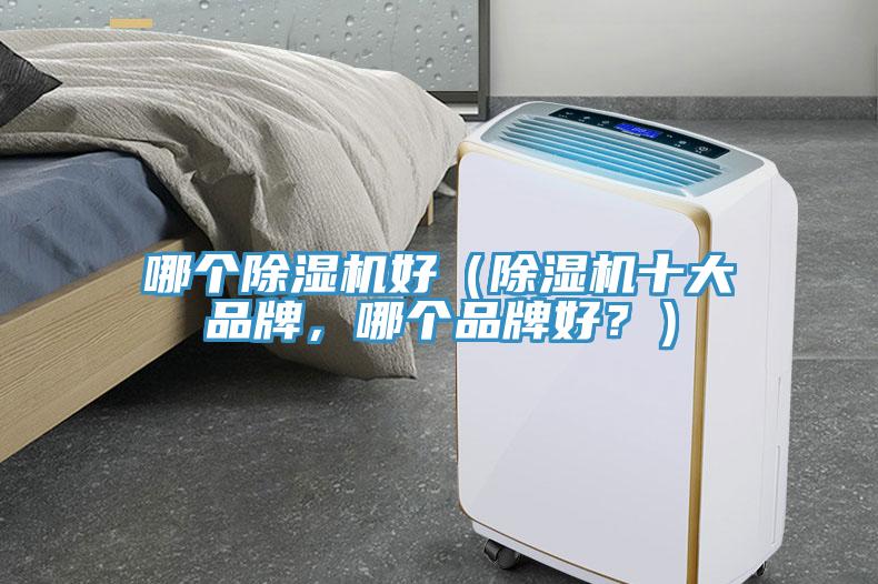 哪個(gè)除濕機(jī)好（除濕機(jī)十大品牌，哪個(gè)品牌好？）