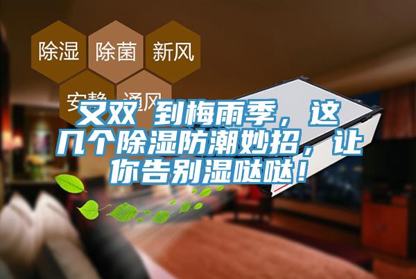 又雙叒到梅雨季，這幾個(gè)除濕防潮妙招，讓你告別濕噠噠！