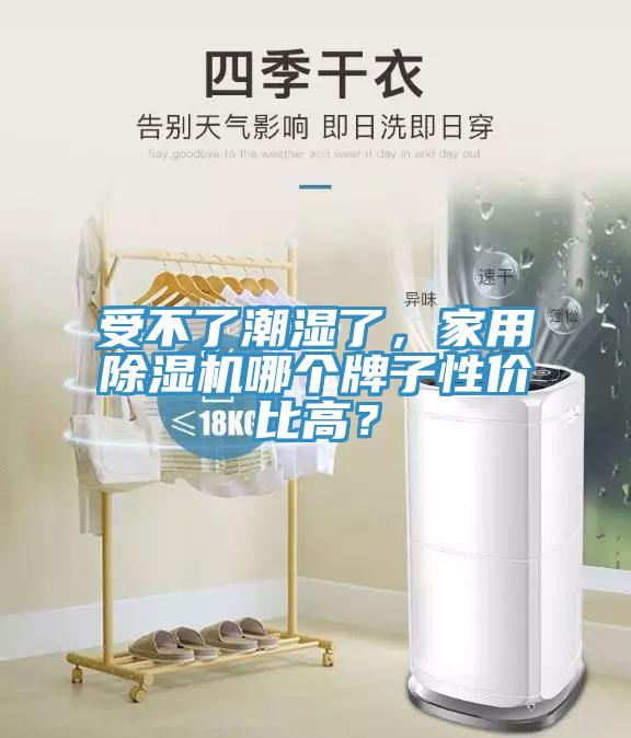 受不了潮濕了，家用除濕機哪個牌子性價比高？