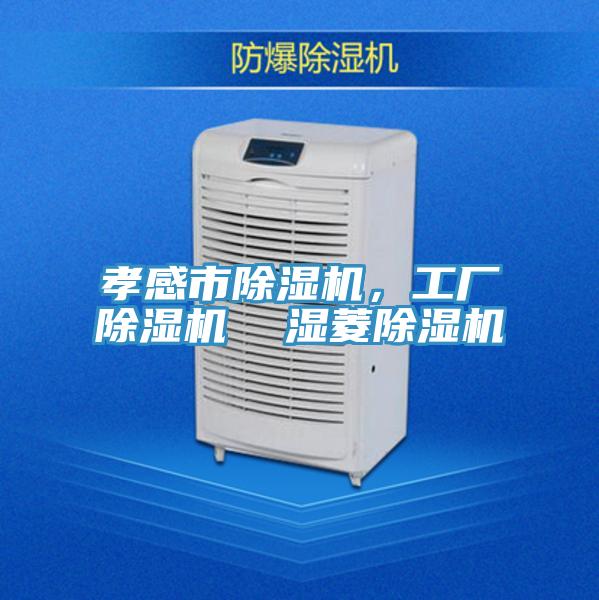 孝感市除濕機，工廠除濕機  濕菱除濕機