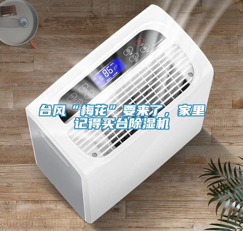 臺(tái)風(fēng)“梅花”要來(lái)了，家里記得買臺(tái)除濕機(jī)