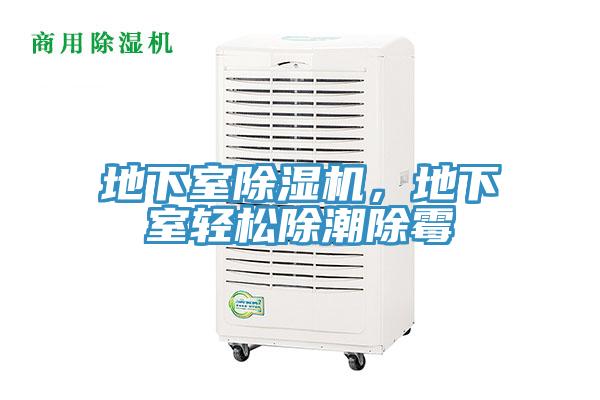 地下室除濕機(jī)，地下室輕松除潮除霉