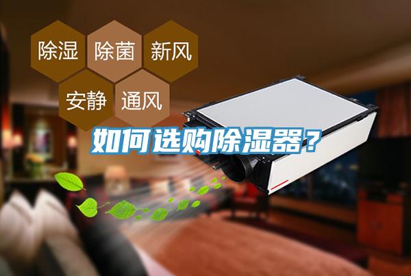 如何選購除濕器？