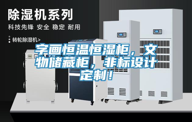 字畫(huà)恒溫恒濕柜，文物儲(chǔ)藏柜，非標(biāo)設(shè)計(jì)定制！