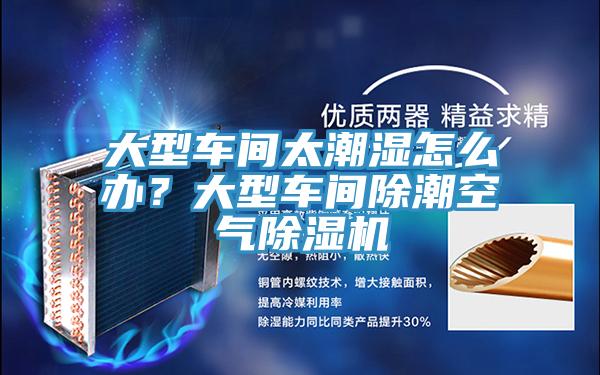 大型車間太潮濕怎么辦？大型車間除潮空氣除濕機(jī)