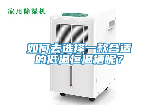 如何去選擇一款合適的低溫恒溫槽呢？