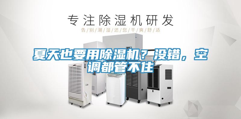 夏天也要用除濕機？沒錯，空調(diào)都管不住