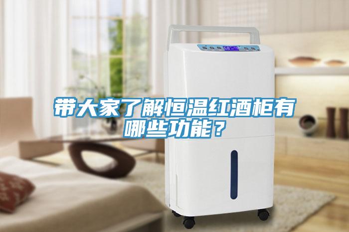 帶大家了解恒溫紅酒柜有哪些功能？