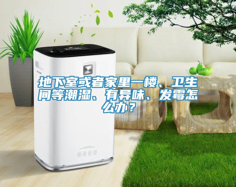 地下室或者家里一樓、衛(wèi)生間等潮濕、有異味、發(fā)霉怎么辦？