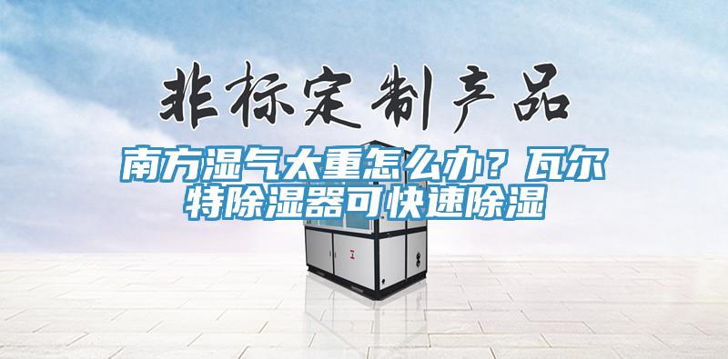 南方濕氣太重怎么辦？瓦爾特除濕器可快速除濕