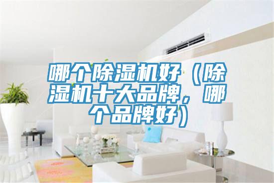 哪個(gè)除濕機(jī)好（除濕機(jī)十大品牌，哪個(gè)品牌好）