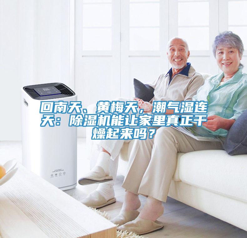 回南天、黃梅天，潮氣濕連天：除濕機(jī)能讓家里真正干燥起來嗎？